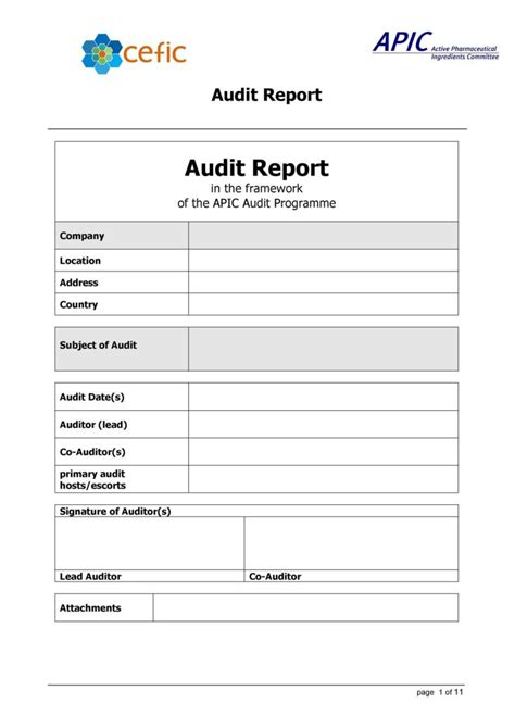 template for internal audit report